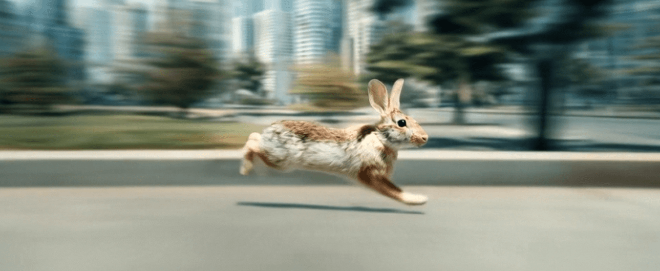Speed